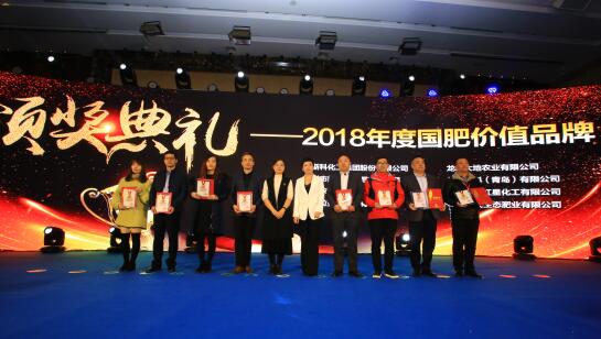 迪斯科榮獲“國肥價值品牌” 董事長陳家輝釋放品牌戰略新信息
