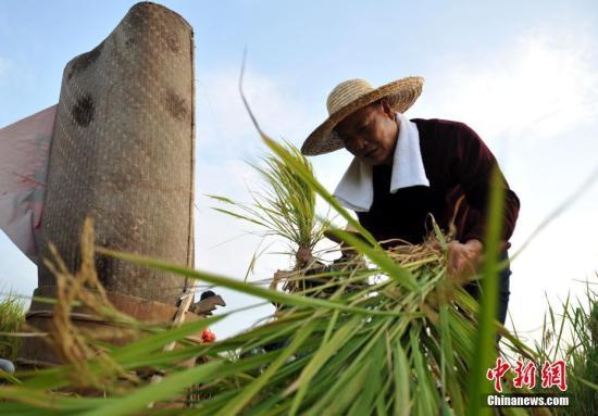 15部門：支持符合條件的農(nóng)產(chǎn)品精深加工企業(yè)申請上市