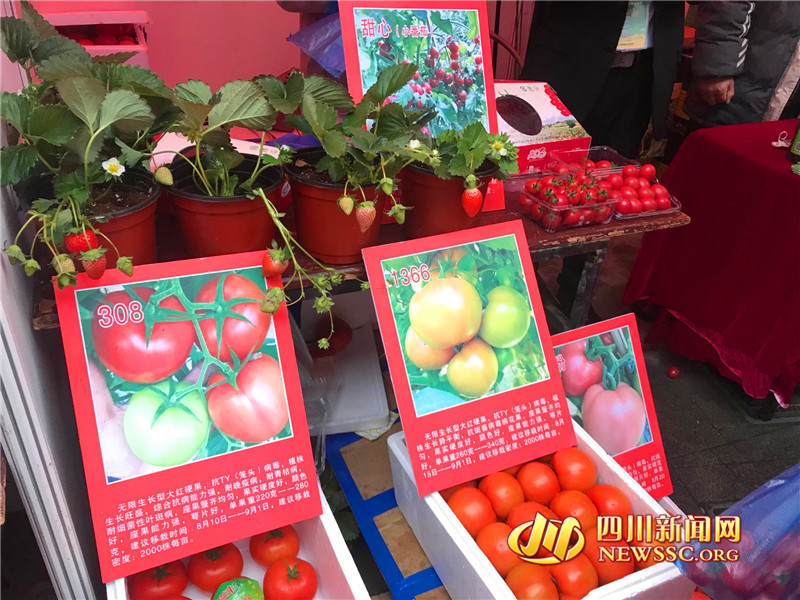 快來買年貨！第十屆四川省農(nóng)民合作社優(yōu)質(zhì)農(nóng)產(chǎn)品迎春大聯(lián)展舉辦
