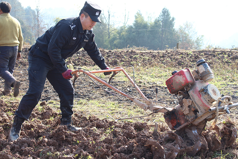 【脫貧攻堅在行動】南江百余民警放下“鋼槍”拿鋤頭 下到田間地頭開展主題黨日活動（圖）