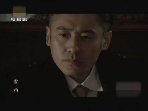 吳秀波受負(fù)面影響？《雪豹》重播他被從演員表除名