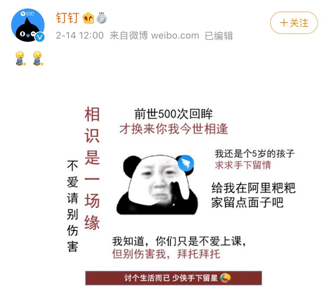 鳥哥筆記,廣告營銷,梅花網,social營銷案例,案例分析,案例